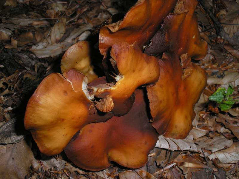 grazie allo sciopero....